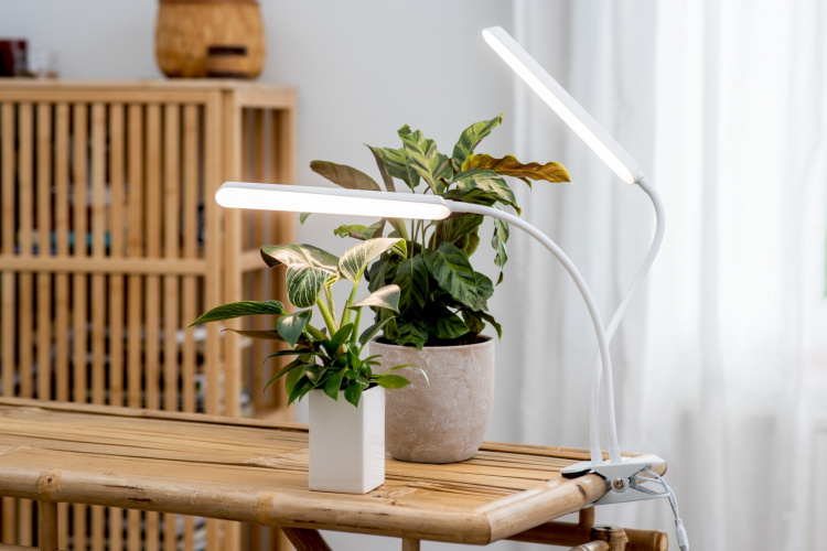 Airam Tulip kweeklamp, 16W/840, 780 lm, wit