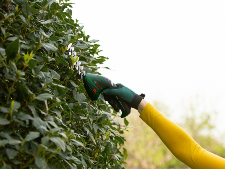 Bosch ISIO III multifunctionele trimmer met heggenschaar Bosch ISIO III multifunctionele trimmer met heggenschaar