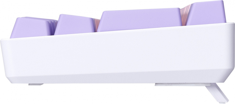 Blackstorm RGB Mech 2 Dual Mode 60% gaming toetsenbord, hot swap Outemu Red schakelaars, roze/paars