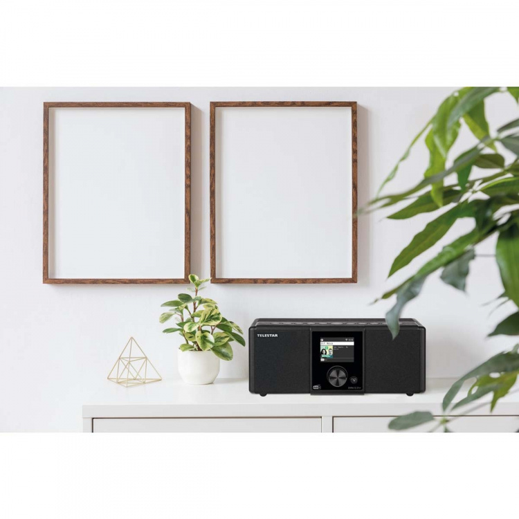 TELESTAR DIRA S21i+ EWF Multifunctionele Stereo Radio DAB+ / FM / Internet / Bluetooth Zwart