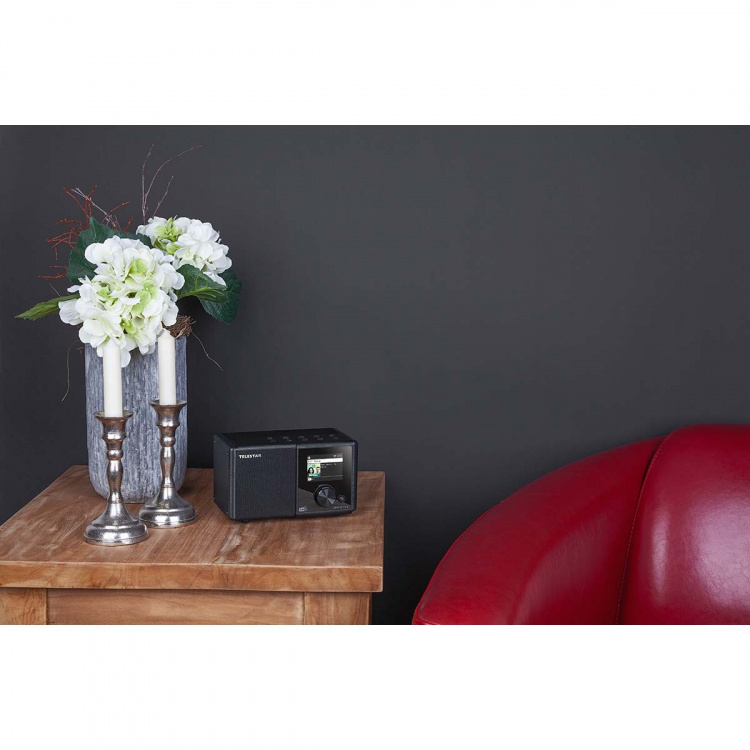 TELESTAR DIRA M11i+ Compacte Multifunctionele Radio EWF DAB+ / FM / Internet / Bluetooth