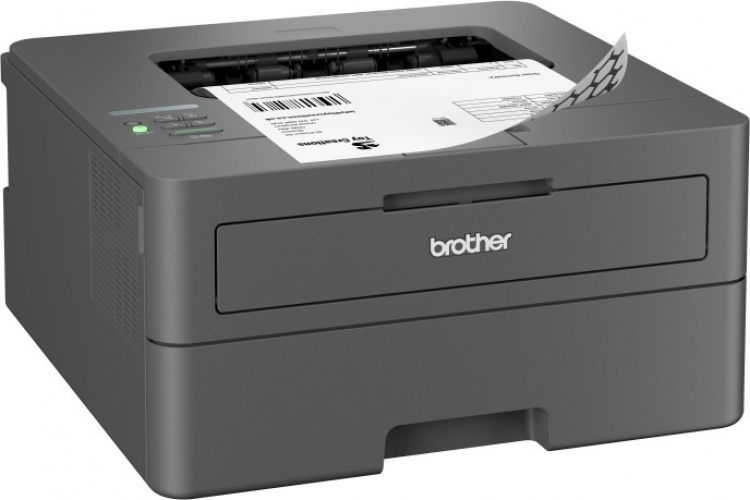 Brother HL-L2400DW zwart-wit laserprinter