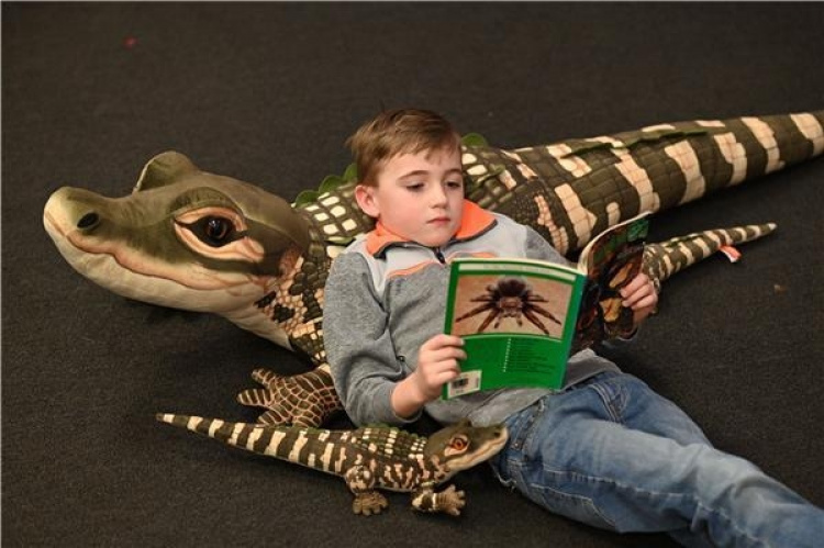 Wild Republic Krokodil 51 cm