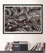 Clementoni 1000 stuks CB High Quality Collection National Geographics Zebra\'s