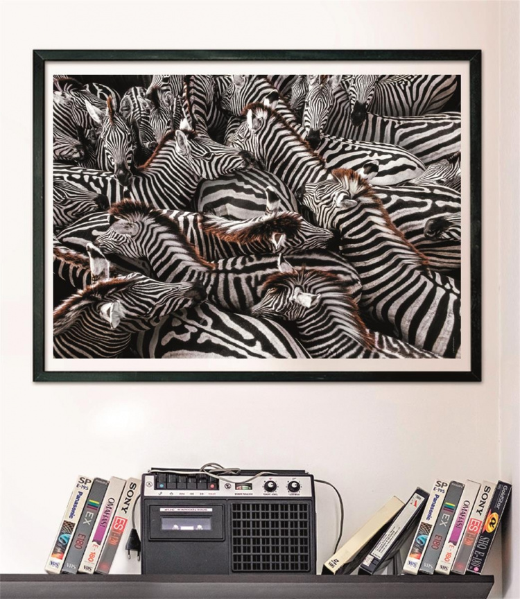 Clementoni 1000 stuks CB High Quality Collection National Geographics Zebra\'s