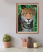 Clementoni 500 stuks CB High Quality Collection Jaguar in de jungle