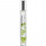 Active by Charlotte Spiritueel Parfum Kracht & Energie 10 ml Active by Charlotte Spiritueel Parfum Kracht & Energie 10 ml