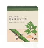 Round Lab Mugwort Calming Cream 80 ml