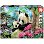 Educa 1000 stuks - Ochtendpanda puzzel (017995)