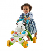 Fisher-Price Baby - Leren met mij Zebra Wandelaar (DLD80)