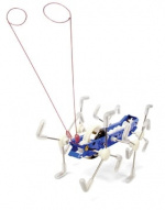 Kikkerland Mxykikker Wind Up (1504)