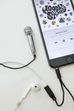 Kikkerland Minikaraokemicrofoon - Zilver (US133-EU)