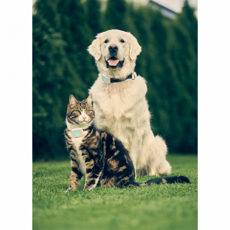 Lildog 2 GPS-Tracker för Hundar