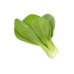 Click & Grow - Smart Garden navulling 3-pack - Pak choi (SGR58X3)