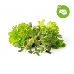 Click & Grow - Smart Garden navulling 9-pak Grill & Steak Mix