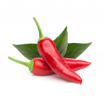 Click & Grow- Smart Garden navulling 3-pack - Chili peper (SGR6X3)