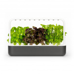 Click & Grow - Smart Garden 9 Starter kit (Kleur: Donkergrijs) (SG9S8UNI)