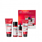Some By Mi Snail Truecica Miracle Repair Starterkit - Reismaten