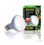 Exoterra Daglicht Spot 75W R20 E27 Groen - (220.2720)