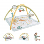 Fisher-Price Fisher Price Newborn - Simply Senses Newborn Gym (HRB15)