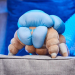 Tubbz Numskull - Destiny Pluche Screeb Hatchling