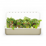 Click & Grow Smart Garden 9 Starter kit (Kleur: Beige) ( SG9S7UNI)