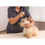 Wahl Prima Trimmer Wahl Prima Trimmer