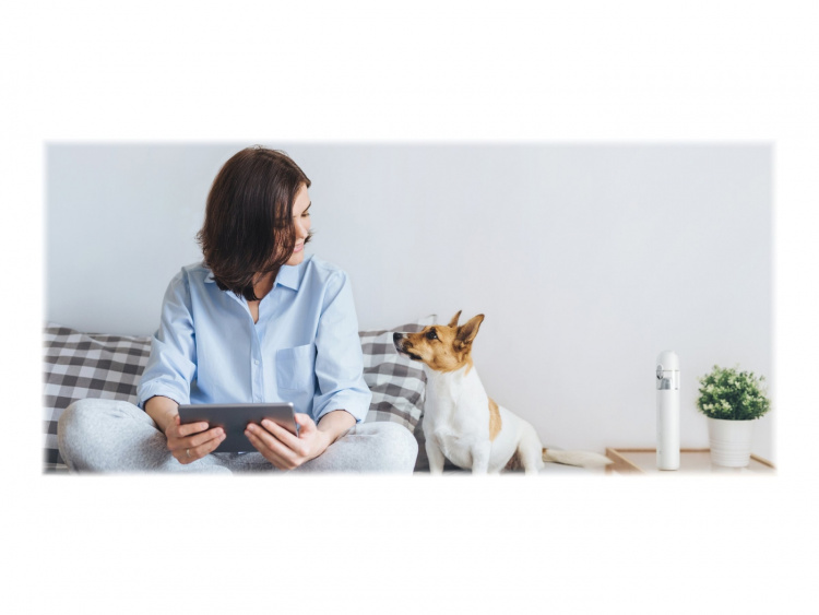 Xiaomi Mi SSXCQ01XY perineal suction cup mini perineal suction cup bear bar Xiaomi Mi SSXCQ01XY perineal suction cup mini perineal suction cup bear bar