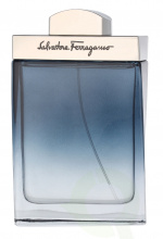 Ferragamo Subtil Pour Homme Edt Spray 100 ml