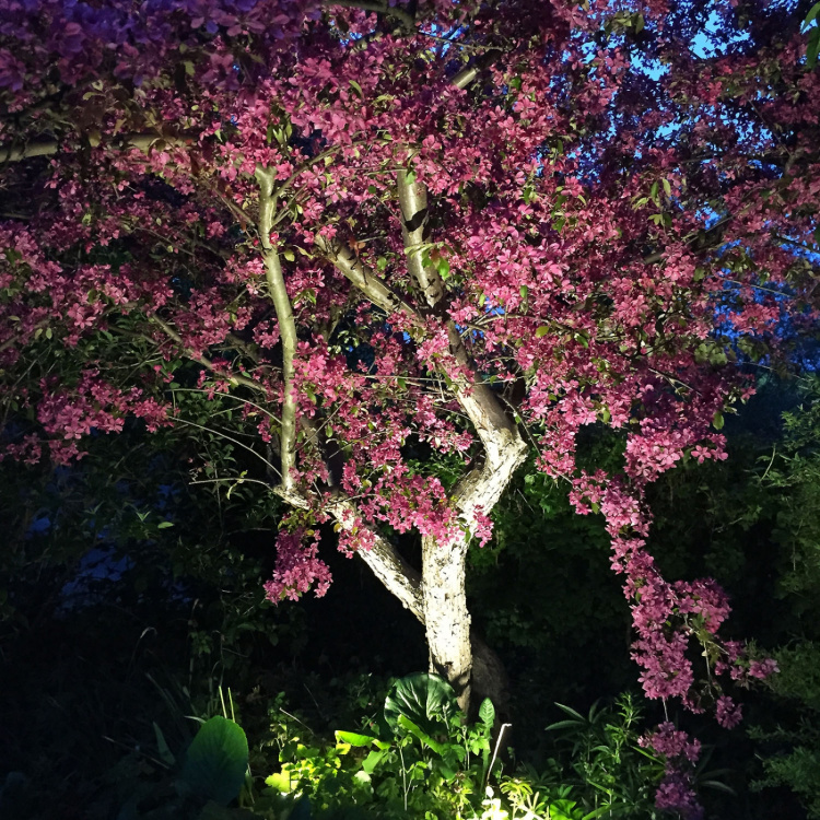 LightsOn Luna Startpaket 2 x Trädgårdsspot Grå LightsOn Luna Startpaket 2 x Trädgårdsspot Grå