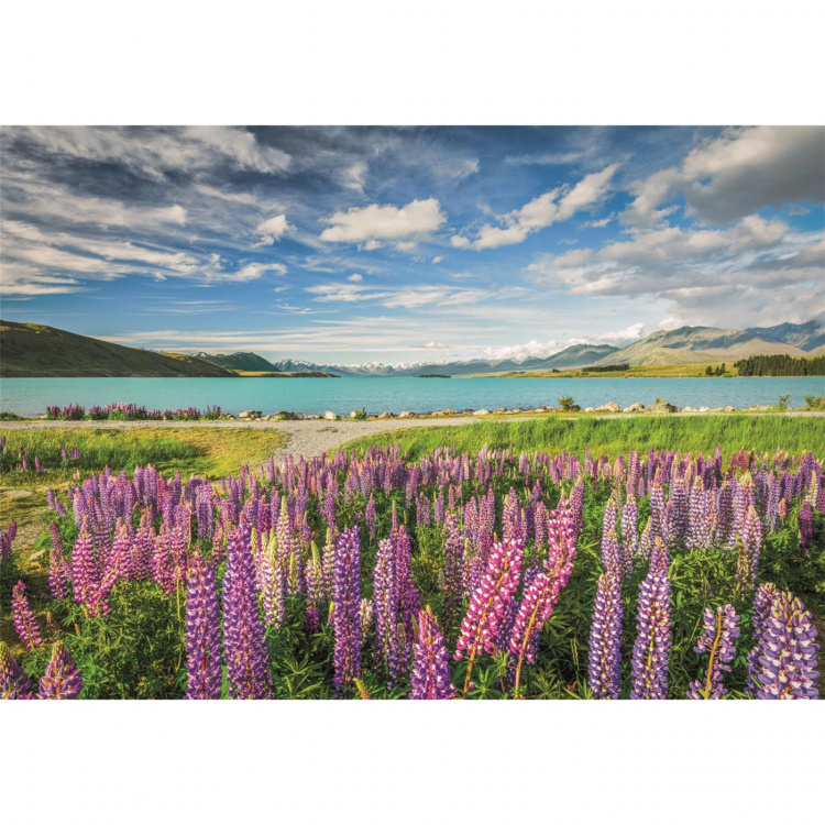 Clementoni Pussel 1500 Pcs CB High Quality Collection Lupins At Lake Tekapo