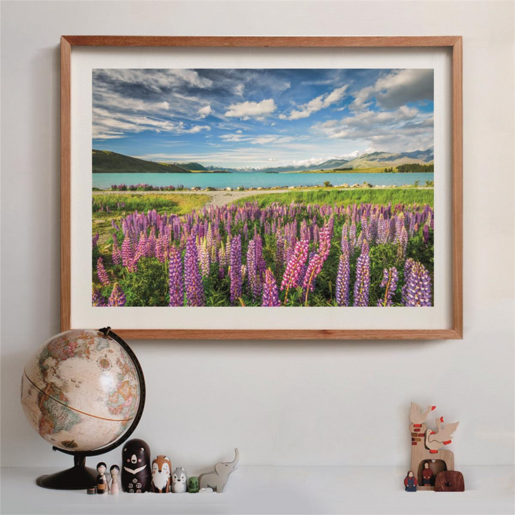Clementoni Pussel 1500 Pcs CB High Quality Collection Lupins At Lake Tekapo