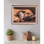 Clementoni Pussel 500 Pcs CB High Quality Collection Cuddles