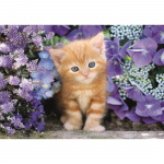 Clementoni Pussel 500 Pcs CB High Quality Collection Ginger Cat