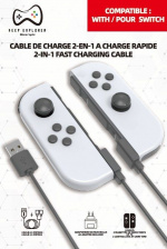2 in 1 Charger (Switch)