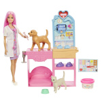 Barbie Snel gegoten dierenartspraktijk (JFX93)