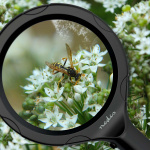 Nedis Handloepen | Lenssterkte: 4 Diopter | 10000 K | 0.05 W | 9 lm | Zwart