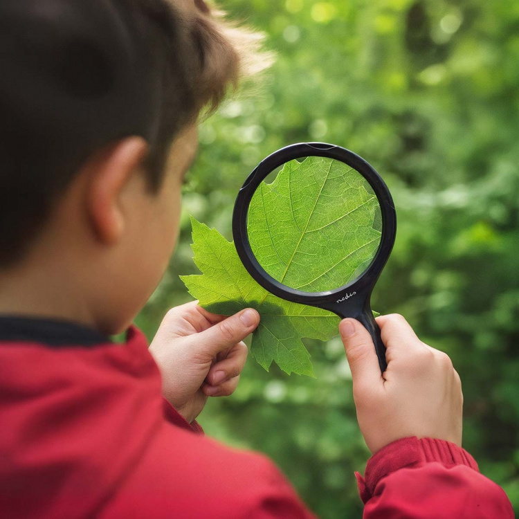 Nedis Handloepen | Lenssterkte: 4 Diopter | 10000 K | 0.05 W | 9 lm | Zwart