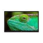 Lenco 24 inch HD LED TV met DVB-T2 DVB-C DVB-S2 12V Zwart