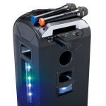 Lenco Set van 2 draadloze microfoons met draagbare ontvanger op batterijen Lenco Set van 2 draadloze microfoons met draagbare ontvanger op batterijen