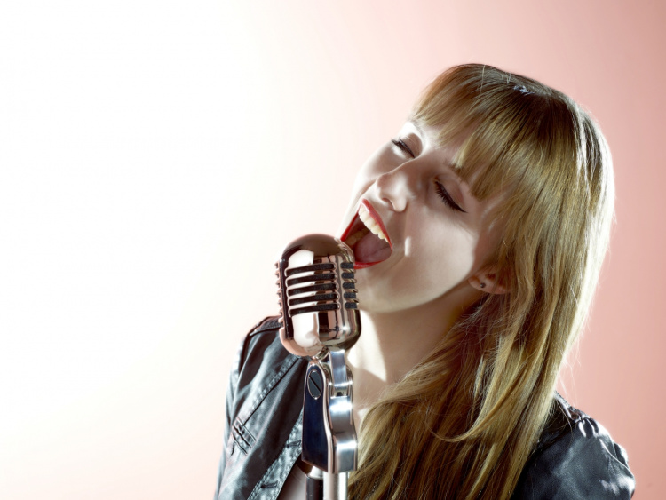 Alecto Retro microfoon Chroom Alecto Retro microfoon Chroom