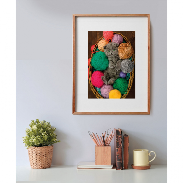 Clementoni Pussel 500 Pcs CB High Quality Collection Fluffy Kitten