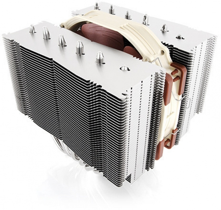 Noctua De