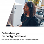 poly Blackwire 3320 stereoheadset, USB-C, Microsoft Teams-gecertificeerd (8X220AA)