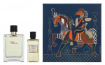 Hermes Terre D\'Hermes Giftset 180 ml Edt Spray 100 ml / Shower Gel 80 ml