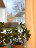 Aneta Raamlamp EPSILON 15318-02Aneta