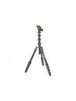 3 Legged Thing Pro 2.0 Albert & AirHed Pro Grey